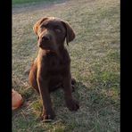Rhett Palmer - Facebook