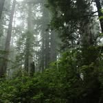 Rhett Palmer - @stormyaxe6507 - Instagram