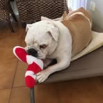 Rhett Parsons - Facebook