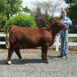 Rhett Smith - @arrow_r_cattle - Instagram