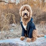 Rhett Tucker - @the_adventures_of_rhett - Instagram