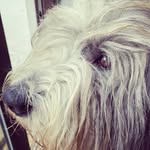 Rhian Evans - @rhian__evans - Instagram