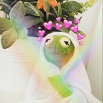 rhianna~baxter🙊🌻 - @rhianna1383 - Instagram