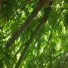 Rhianna Johnson - @rhianna.johnson.15 - TikTok