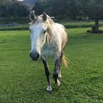 FatPony101 - @rhianna_may_ - Instagram