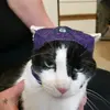 Rhiannon - @rhiannoncats - TikTok
