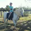 rhiannon hansen - @arabhorses - TikTok