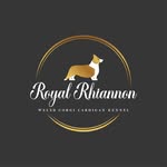 kennel.Royal.Rhiannon - @kennel.royal.rhiannon - Instagram