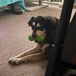 Rhoda Moore - @rhojamoo - Instagram