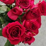 Rhoda Waldner - @rhodarwaldner - Instagram