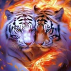 Rhonda Amon - Facebook