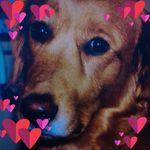 Rhonda Ashbaugh - @rhondaashbaugh - Instagram
