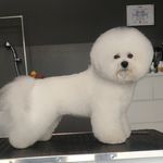 Rhonda A Bartall-Dye - @rhondabartalldye - Instagram