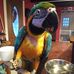 Rhonda Bateman - Facebook
