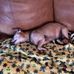 Ronda Bateman - Facebook
