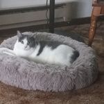 Rhonda Bauer - @rhonda.bauer.1964 - Instagram