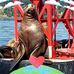 Rhonda Bauer - Facebook