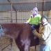 Rhonda Baumeister - Facebook