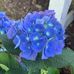 Rhonda Baumgardner - Facebook