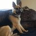Rhonda Beals - Facebook