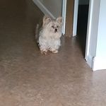 Rhonda Beckham - @rhonda.beckham.3 - Instagram
