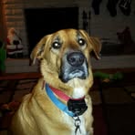 Rhonda Benefield - Facebook