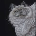 Rhonda Bennett Studios - @rhondabennettanimalart - Instagram