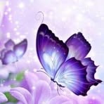 Rhonda Blissit - Facebook