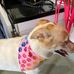 Ronda Blosser - Facebook