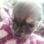 Rhonda Willis Bowen - @rhondawillisbowen - Instagram