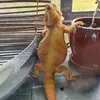 Rhonda Bowlin - @rhonda.bowlin - TikTok
