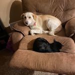 Rhonda Bowling - @rhonda.bowling.9 - Instagram