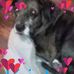Rhonda Bowling - Facebook