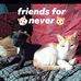 Brader Randy - Facebook