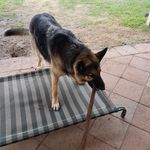 Rhonda Broad - @rhonda.broad.3 - Instagram