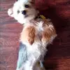 rhondaburditt - @rhondaburditt - TikTok
