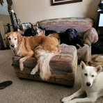 Rhonda Button - Facebook