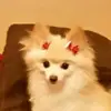 rhondabutton965 - @rhondabutton965 - TikTok