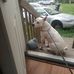 Ronda Burton - Facebook
