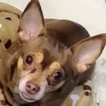 Rhonda Cade - @rhondafcade - Instagram