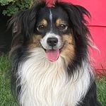 Rhonda Campbell - @rhonda.campbell.5496 - Instagram