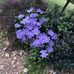 Rhonda Ward Colinger - Facebook
