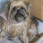 Rhonda Brice Capps - @rhondabricecapps - Instagram