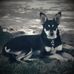 Rhonda Chadwick - Facebook