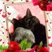 Rhonda Chartier - Facebook