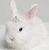 Rhonda Chartier - Facebook