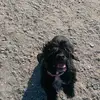 Rhonda Clancy - @rhondaclancy - TikTok