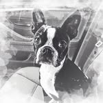 Honda Morrell - @rhonda_clemons_miller - Instagram