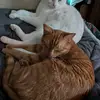 Rhonda Clift - @rhonda.clift - TikTok