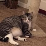 Rhonda Colburn - @rhon.fla - Instagram